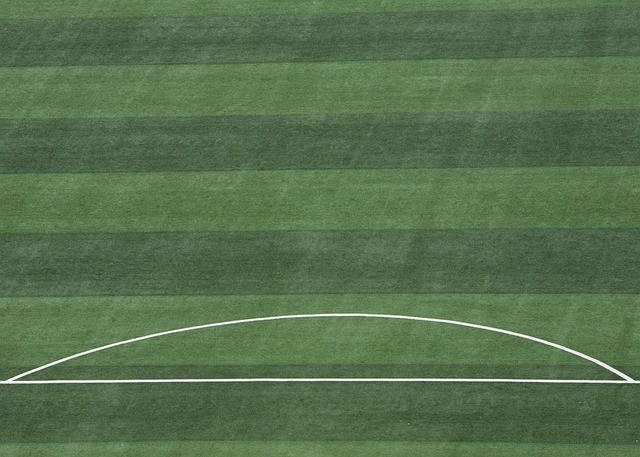 了急需的内 了急需的内