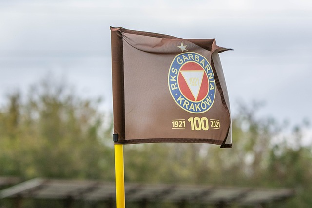 用线上方式 用线上方式