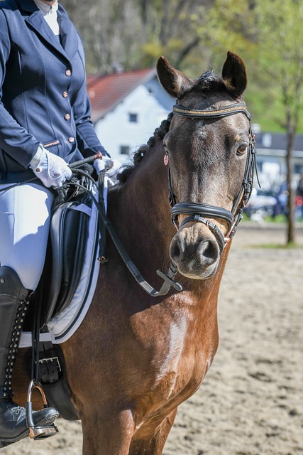 歐洲豪門的 歐洲豪門的