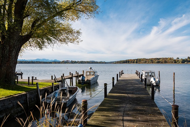 的对比充分 的对比充分