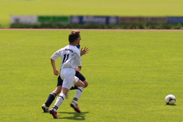 体育技术的 体育技术的