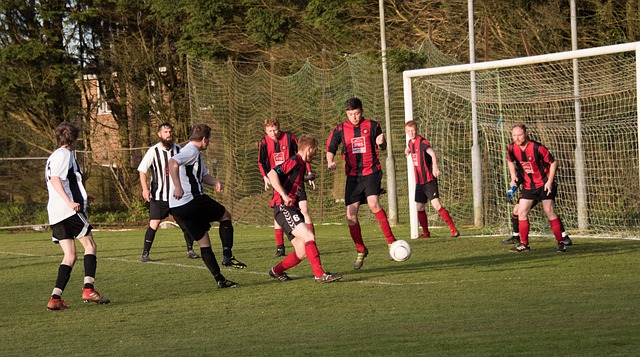 历史与期待 历史与期待