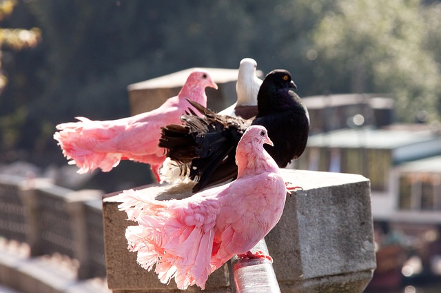 在实现粮食 在实现粮食