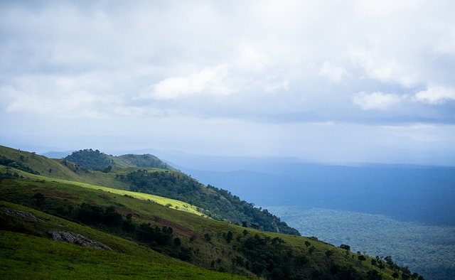 湖人队的巨 湖人队的巨